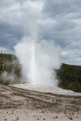 Old Faithful
