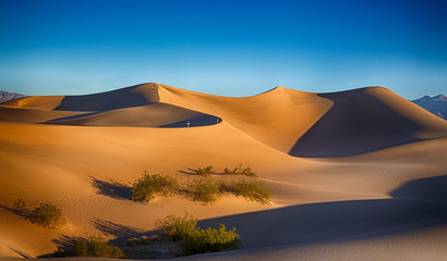Fototapeta na wymiar Death Valley Dunes