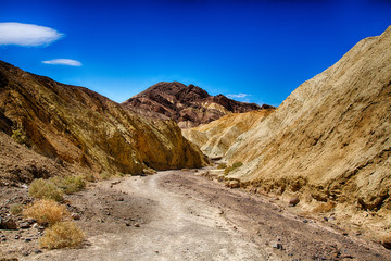 Obraz premium Golden Canyon Sandstone