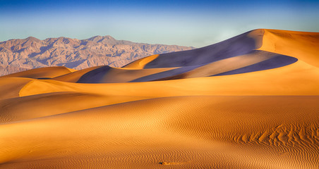 Death Valley Dunes - 69598820