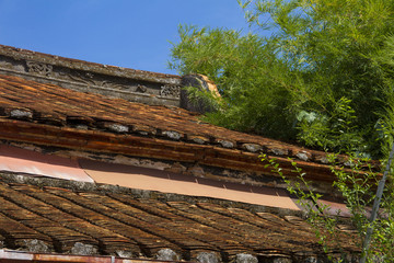 old roof