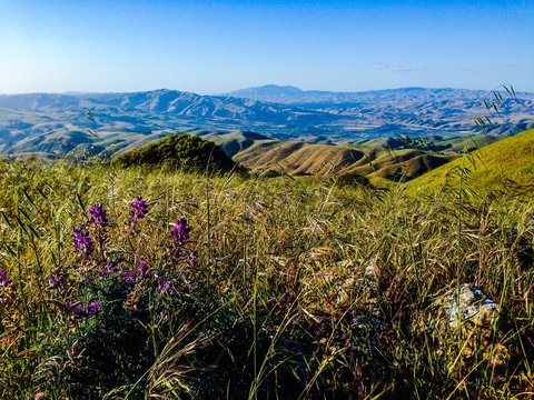 Scenic View From Mission Peak Trail