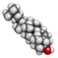 Cholesterol molecule. Essential component of cell membranes.