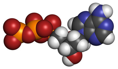 Deoxyadenosine triphosphate (dATP) nucleotide molecule.
