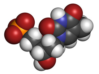 Thymidine monophosphate (TMP, thymidylate) nucleotide molecule.
