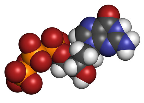 Deoxyguanosine triphosphate (dGTP) nucleotide molecule.