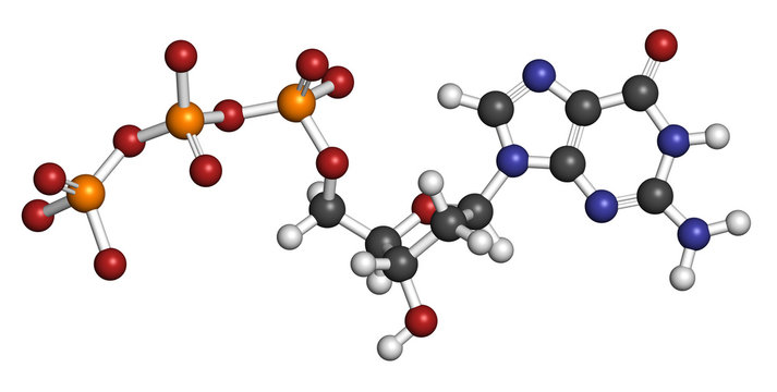 Deoxyguanosine triphosphate (dGTP) nucleotide molecule.