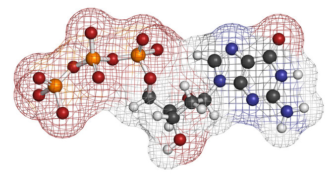 Deoxyguanosine triphosphate (dGTP) nucleotide molecule.