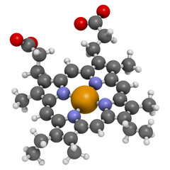 Heme B (haem B) molecule. 