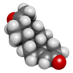 Theobromine (xantheose) chocolate alkaloid molecule.