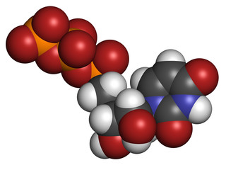 Uridine triphosphate (UTP) nucleotide molecule.