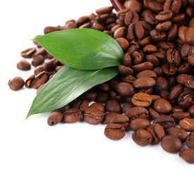 Coffee beans in big lilac bowl isolated on white