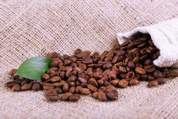 Coffee beans on sacking background