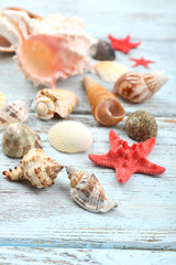 Fototapeta na wymiar Seashells on wooden table, close-up