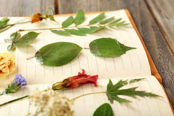 Dry up plants on notebook on wooden background