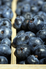 Tasty ripe blueberries in wooden crate, close up