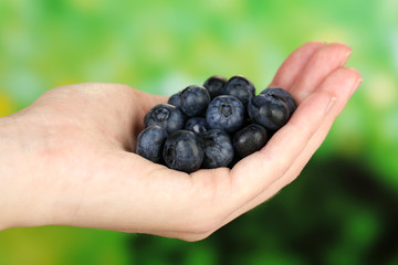 Female hand holding tasty ripe blueberries on nature background