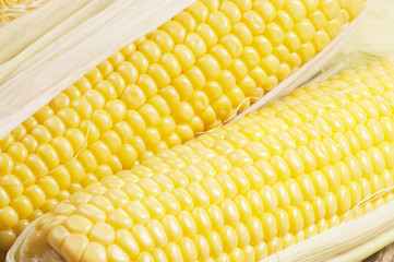 Corn cobs (maize)