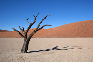 Fototapeta na wymiar Namibia Valle della morte