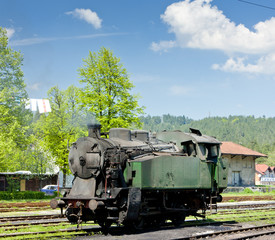 Obraz na płótnie Canvas steam locomotive, delivery point in Oskova, Bosnia and Hercegovi