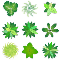 Trees, plant , flower  top view for garden landscape design