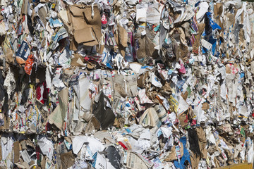 paper recycling