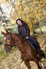 equestrian on horseback in autumnal nature