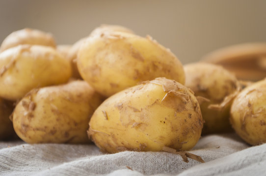 fresh tasty new potatoes. Selective focus