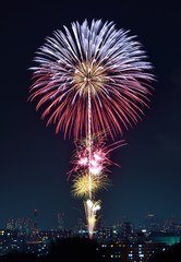 Fototapeta premium 花火