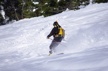 Fototapeta na wymiar ski freeride