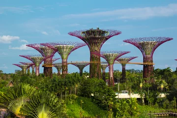 Papier Peint photo Singapour Iron Supertrees dans les jardins de la baie à Singapour