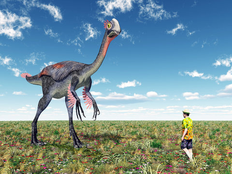 Gigantoraptor and Tourist