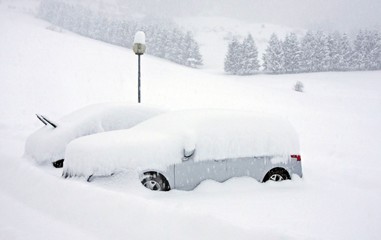 cars covered with snow