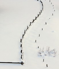 wooden fence contrasts in fresh meadow cold white snow