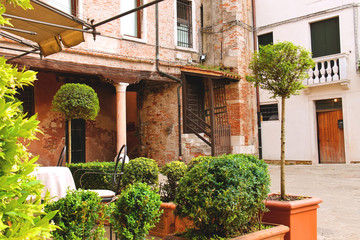 Fototapeta na wymiar Small garden in the courtyard of the Italian city