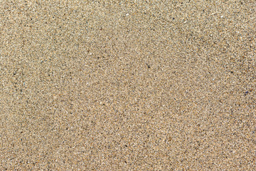 Beach Sand Texture Macro