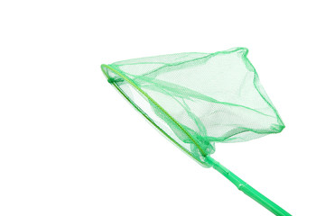 Green insect net on a white background.