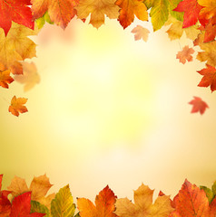 Background  Autumn with wooden planks