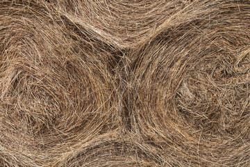 Straw background hay bale