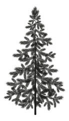 Christmas spruce fir tree silhouette