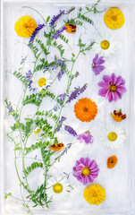 vetch  with summer garden flowers on withe wooden tray