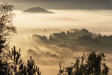 Obraz na płótnie Canvas first sunny rays in foggy valley