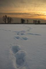 Fototapeta na wymiar Snow path