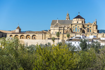 Fototapeta na wymiar Great Mosque of Cordoba, Andalusia, Spain