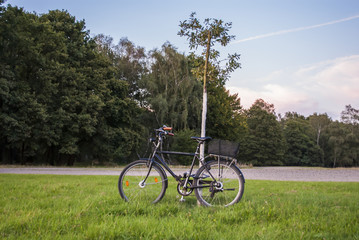 Fototapeta na wymiar Bicycle leaning against tree