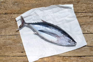 Whole albacore wooden background