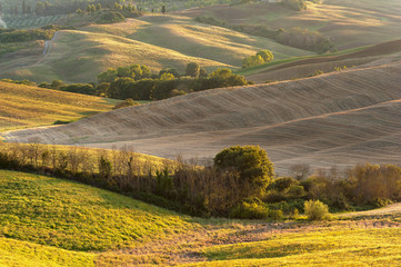 Rural landscape in the light of the sunset