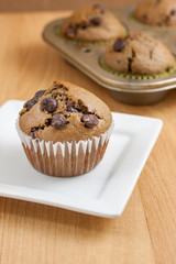Chocolate Chocolate Chip Muffins