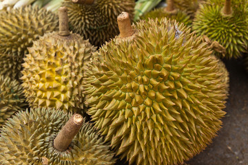 Naklejka na ściany i meble durian fruits background