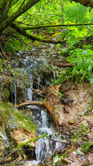 Bachlauf